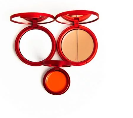 a professional makeup kit