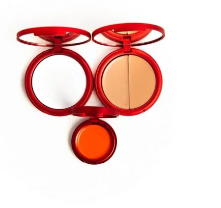 a professional makeup kit